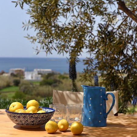 Good Life Greece Eco Villas Poszidonía Kültér fotó