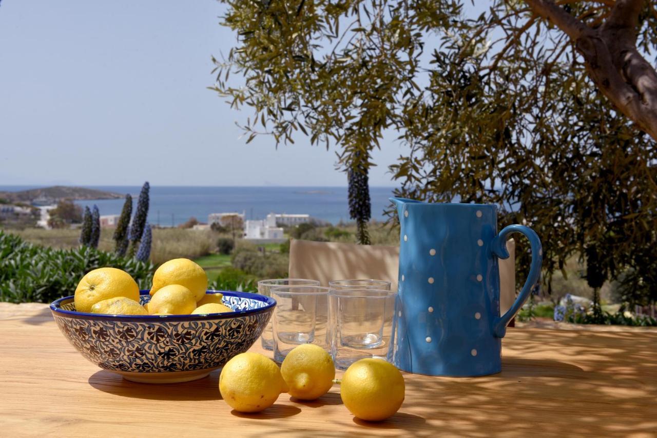 Good Life Greece Eco Villas Poszidonía Kültér fotó