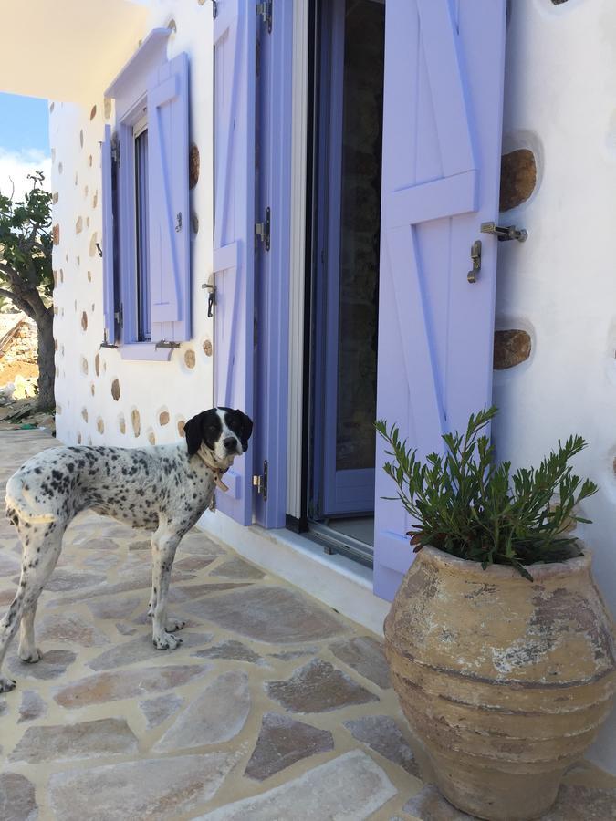 Good Life Greece Eco Villas Poszidonía Kültér fotó