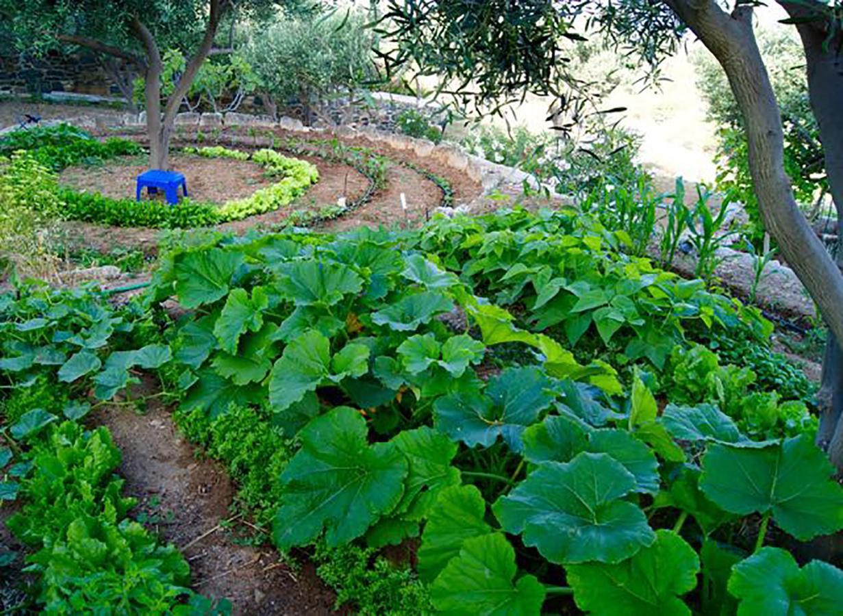 Good Life Greece Eco Villas Poszidonía Kültér fotó